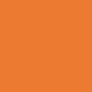 Orange clair | 810